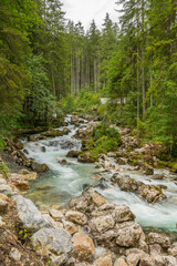 Obraz premium Wild alpine river with bolders and rocks in the water and pine trees on both riverbanks in Austria. Alps, summer, day.