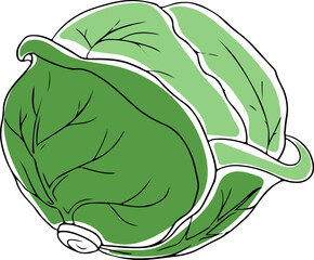 Lineart style whole green cabbage black outline isolated on white background Generative AI