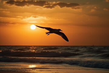 Fototapeta na wymiar A flying seagull silhouette in sunset sky and beach. AI generative