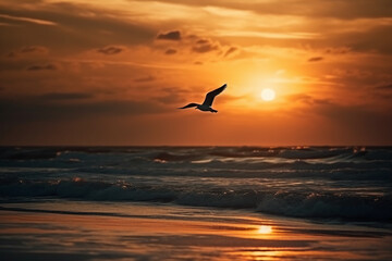 A flying seagull silhouette in sunset sky and beach. AI generative