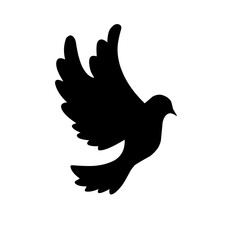 bird vector illustration silhouette