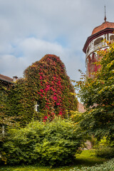 Obraz premium Old water tower, one of the symbols of the city Svetlogorsk at autumn. Russia