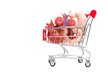 Toy Human Organs in a Shopping Cart on White