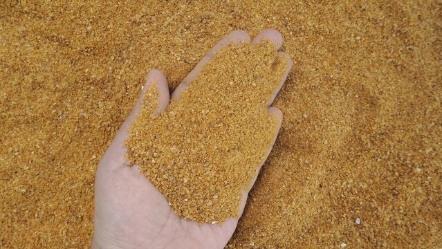 grain in a hand DDGS is an excellent source of digestible protein and energy for cattle. It is highly palatable with a good source of organic phosphorus and high in protein and high energy ,