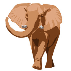 Fototapeta premium Wild Elephant in transparent png 