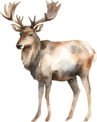 Elk illustrations created with Generative AI technology