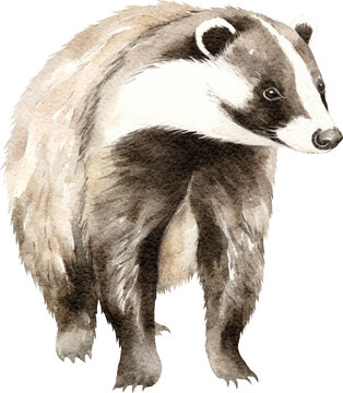 Badger illustrations created with Generative AI technology