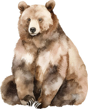 Bear illustrations created with Generative AI technology