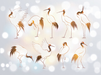 Japanese red-crowned crane birds in oriental style on white glowing backrgound. Traditional Japanese ink wash painting sumi-e.
