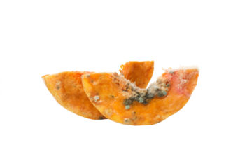 Pumpkin with mold, isolated on white background