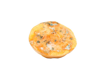Pumpkin with mold, isolated on white background