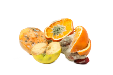 Fruits and vegetables with mold, isolated on white background