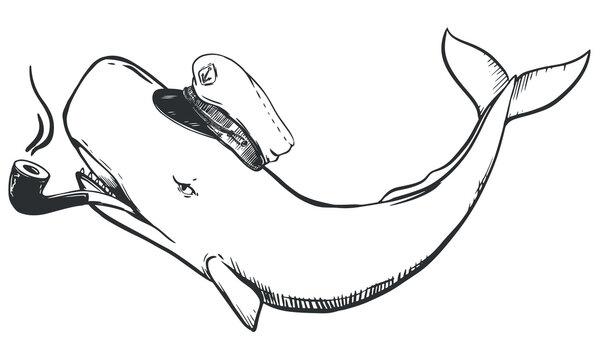 A white sperm whale in a captain's cap and with a smoking pipe in his mouth. Creative illustration of a cachalot as a captain. Caricature of the officer corps. Old school tattoo sketch, t-shirt prints