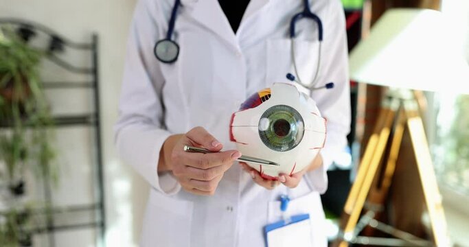 Doctor tells about parts of eyeball using pen and model. Teacher in lab coat conducts lesson standing in hospital office and holds layout of human eyeball slow motion