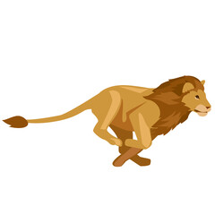 Lion animal transparent png file