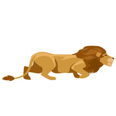 Lion animal transparent png file