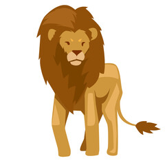 Lion animal transparent png file