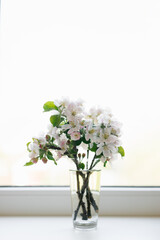 Bouquet of branches of a blooming apple tree stand in a glass vase on the window