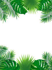 Naklejka na ściany i meble tropical vertical border frame. Vector illustration with beautiful tropic plants. Palm and monstera leaves on a white background. good choice for summer, travelling designs, posters and wallpaper