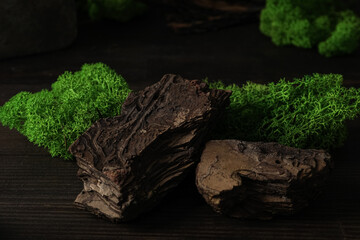 Fototapeta premium Moss, different backgrounds for nature concept, moss and wood, moss and stones