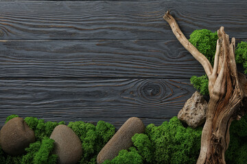 Moss, space for text, concept of different backgrounds