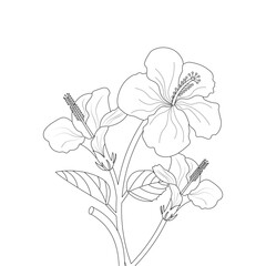 Hibiscus Flower Drawing Coloring Page With Doodle Art Line Art Vector On White Background