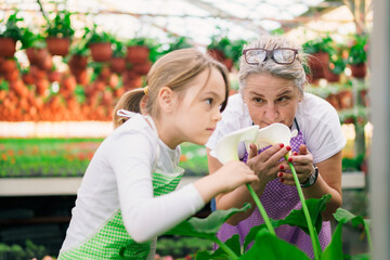 Grandmother and her granddaughter smell a beautiful big flower in the greenhouse.