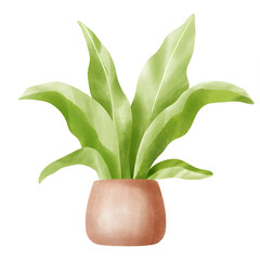 Houseplant with Flowerpot watercolor illustration