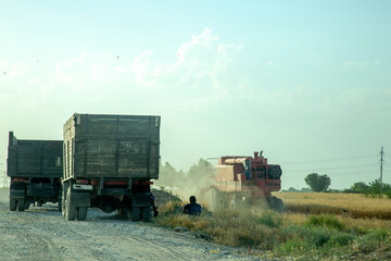Naklejka premium Heavy vehicles in farm fields