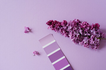 Color catalogue, an example of lilac on paper sample and lilac flowers. The color palette used by the designer to select the correct hue. View from above.