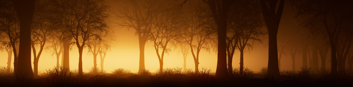 Winter Trees Silhouetted in Orange Mist. Atmospheric, Snow covered Woodland scene. Seasonal Banner.