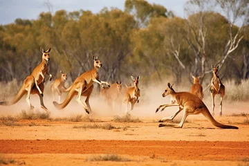  A group of kangaroos jumping through the outbac © Dan