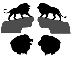 Lion on rock silhouette image
