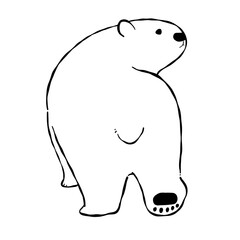 振り返る手描きのシロクマの線画イラスト