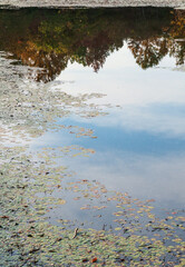 The Wetlands at Mammoth Cave National Park