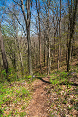 Overlook of Mammoth Cave National Park in Kentucky