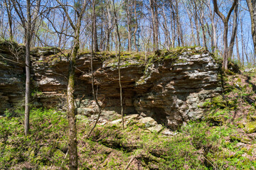 Above Ground at Mammoth Cave National Park