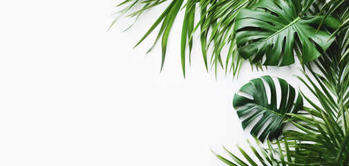 Naklejka na ściany i meble Beautiful green palm and monstera leaves with copy space on white background. Natural floral backdrop. Created with generative Ai