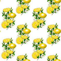 Watercolor seamless pattern with botanical illlustration of lemon tree branch with flowers on white background for design.