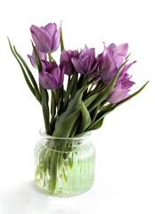 pretty colorful tulips flowers at spring