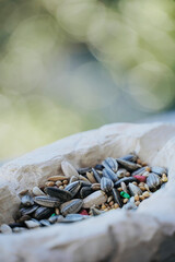 Bowl with food for birds in the garden. Bird feeder with sunflower seeds.
