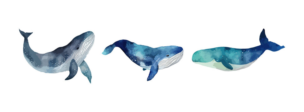 Whale watercolor set isolated on white background. Collection of underwater animal, ocean whale fish, sea nature drawing. Vector illustration