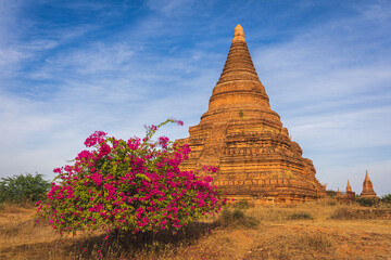 In the ruins of ancient Bagan city