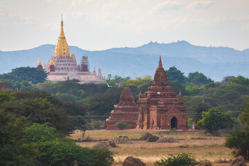 In the ruins of ancient Bagan city