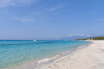 Fototapeta na wymiar Saleccia beach, Corsica island, France