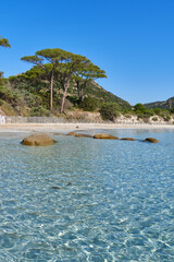 Palombaggia beach, Corsica island, France