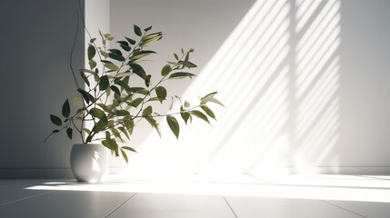 Minimalistic light background with plants on a white wall - AI Generated