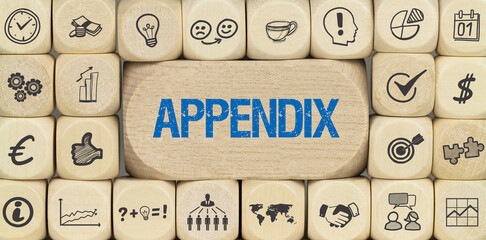 Appendix	