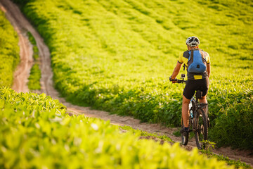 Young cyclist cycling in the spring meadow