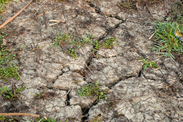 Land with dry and soil drought cracked landscape, Global warming concept.